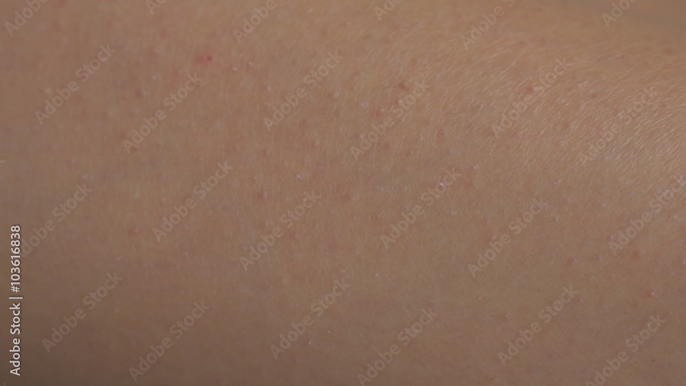Woman legs texture close up slow motion panning 1080p HD footage - Slow panning over female leg skin texture 1920X1080 FullHD video Woman legs texture close up slow motion panning 1080p HD footage - Slow panning over female leg skin texture 1920X1080 FullHD video