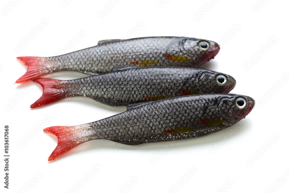 Obraz premium Fishing equipment