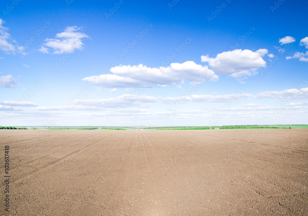 field field