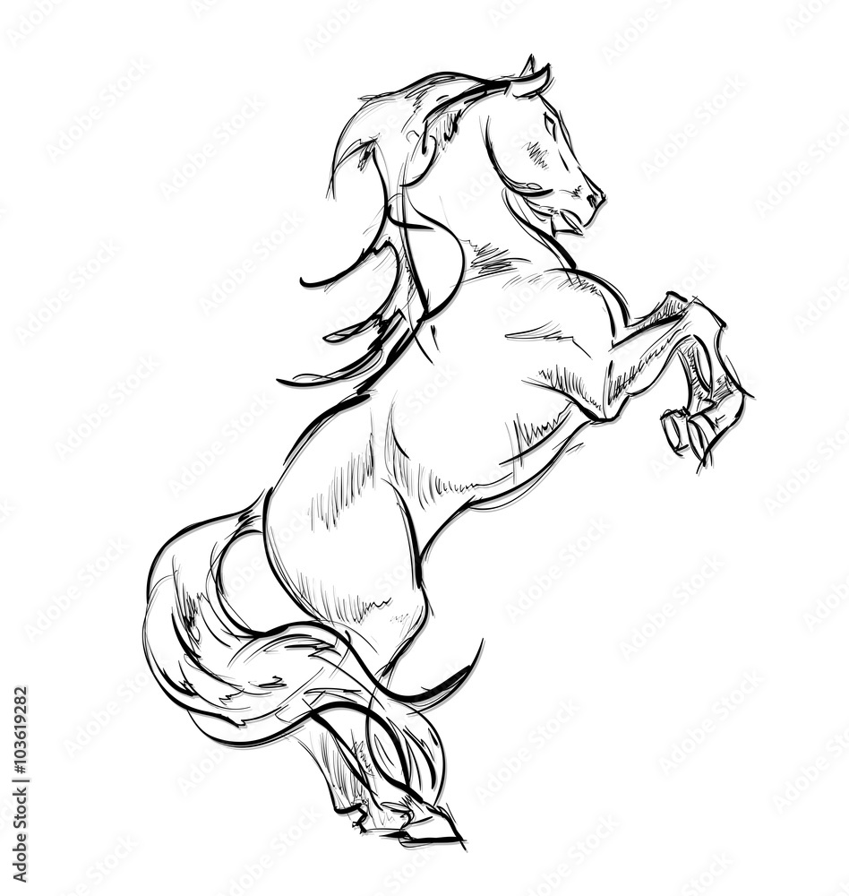 Galloping horses Hand drawn illustration Stock Vector Adobe Stock