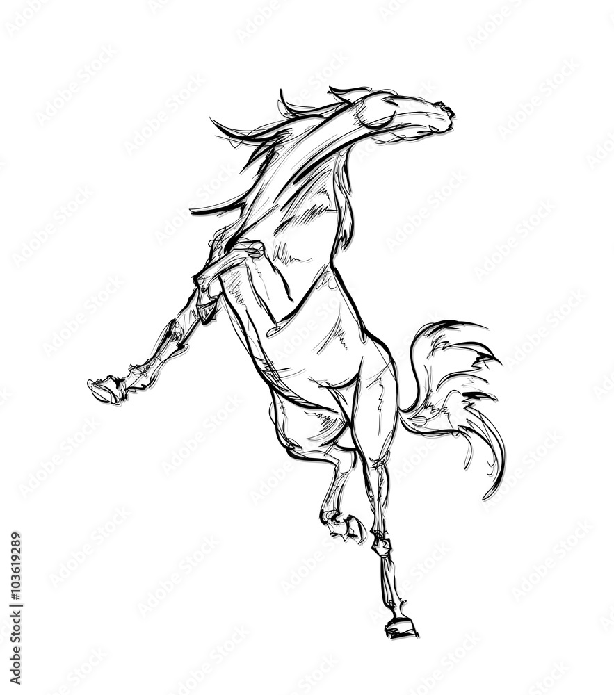 Galloping horses. Hand-drawn illustration Galloping horses. Hand-drawn illustration