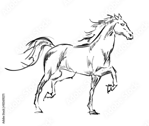 Galloping horses. Hand-drawn illustration