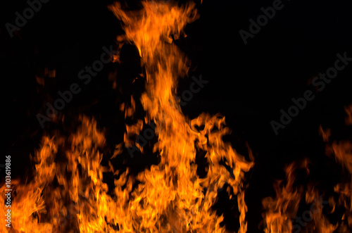 Fire flames on a black background