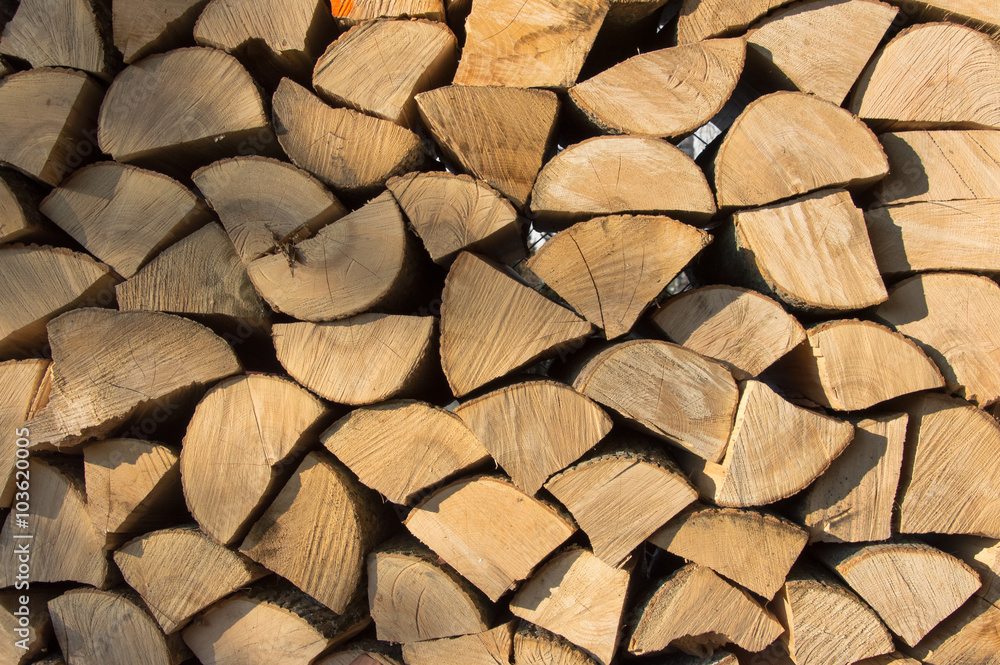 Dry, cracked tree, ready for firewood in winter Dry, cracked tree, ready for firewood in winter