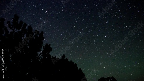 Night stars and cedar trees - passage of time photo