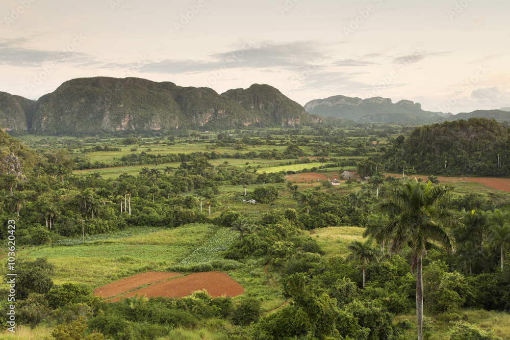 Panoramic view over landscape with mogotes in Vinales Valley ,Cu