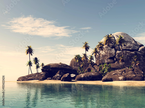 toned beach seascape view with a big stones and palmtree