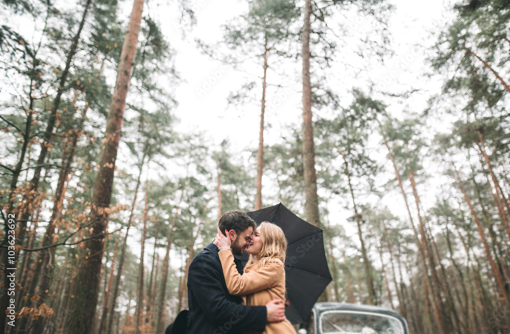 Stylish Loving wedding couple kissing and hugging in a pine forest near retro car Stylish Loving wedding couple kissing and hugging in a pine forest near retro car