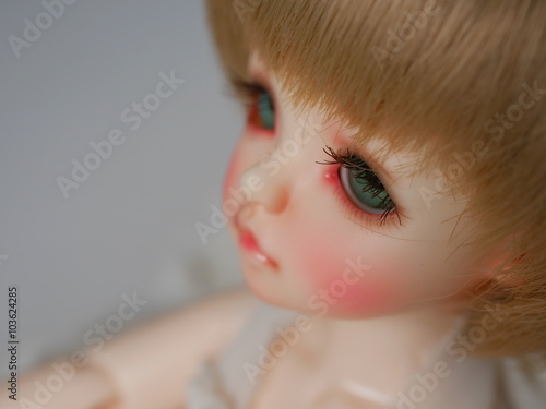 Fotografia Ball Jointed Doll