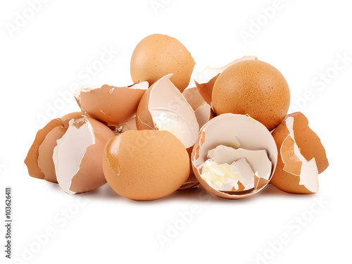 Egg shell