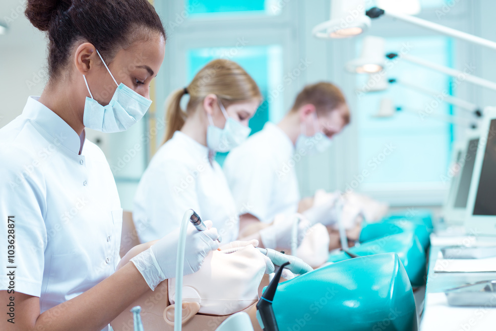 Obraz premium Ambitious students of dentistry