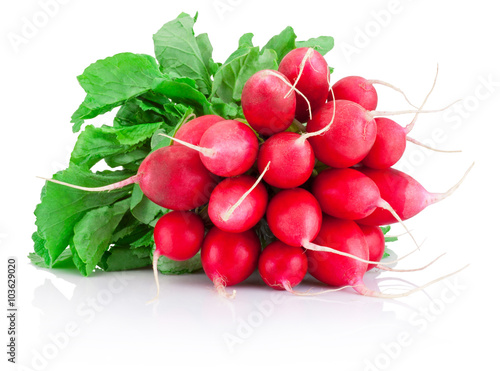 Fresh red radish isolated on a white background