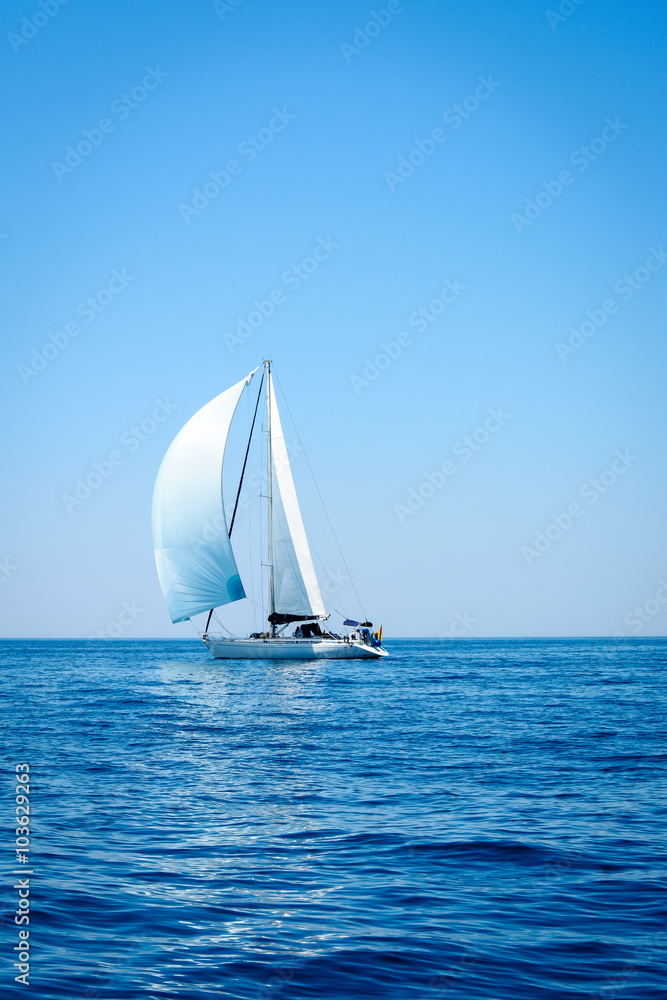Sailing. Ship yachts with sails in the open Sea. 1