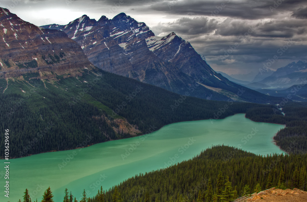 Obraz premium Aerial view of Peyto Lake, Banff National Park, Canada