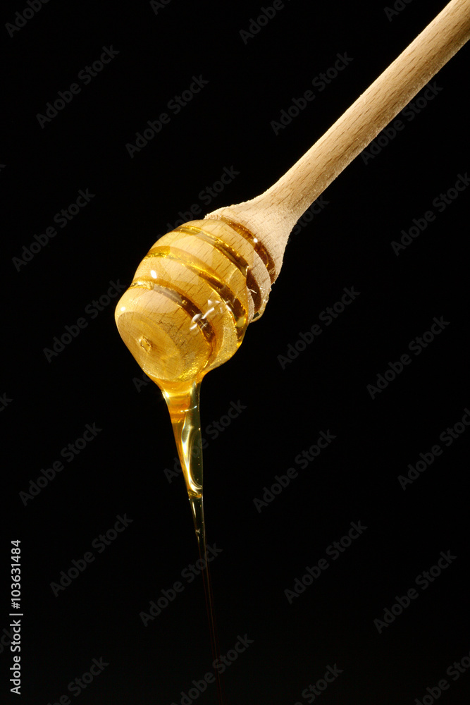 honey dipper honey dipper