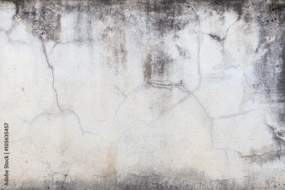 Obraz premium white concrete wall texture