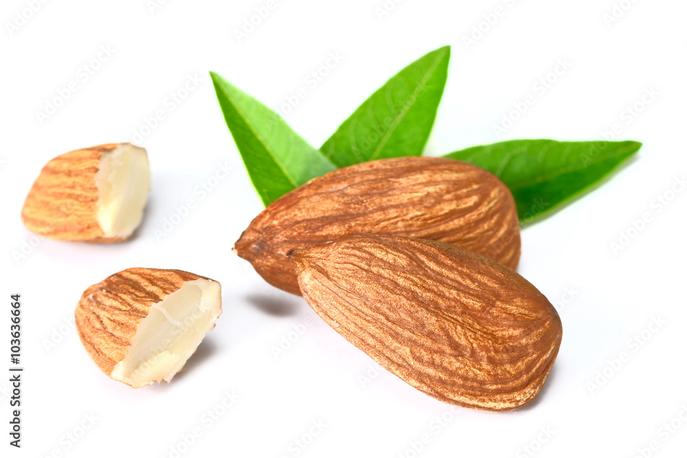 almond on white almond on white