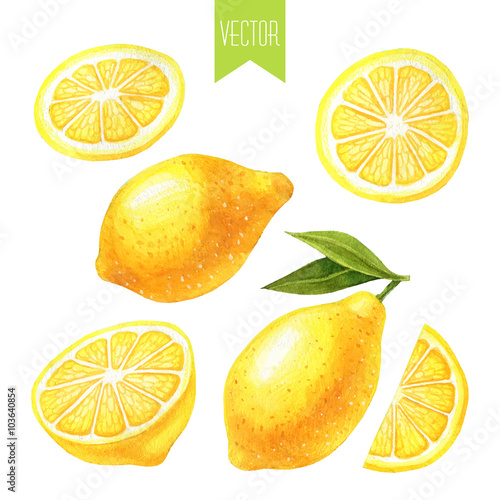 Watercolor set of lemons