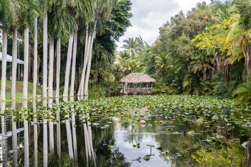 Принти на полотні Bonnet House slough in gardens of museum estate in Fort Lauderdale, Florida, USA