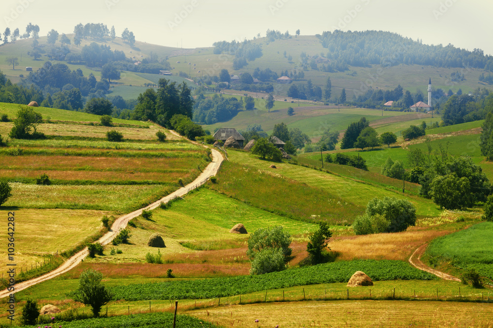 Serene view of countryside landscape in Serbia