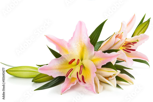 Pink lilies arrangement.