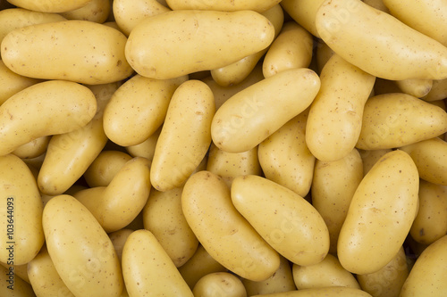 Pomme de terre