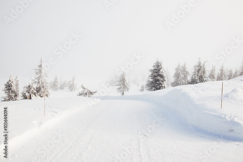 Snow covered norwegian road and landscape disappears in the mist