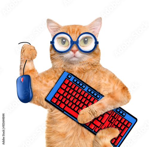 Fototapeta Naklejka Na Ścianę i Meble -  Cat with computer mouse and keyboard