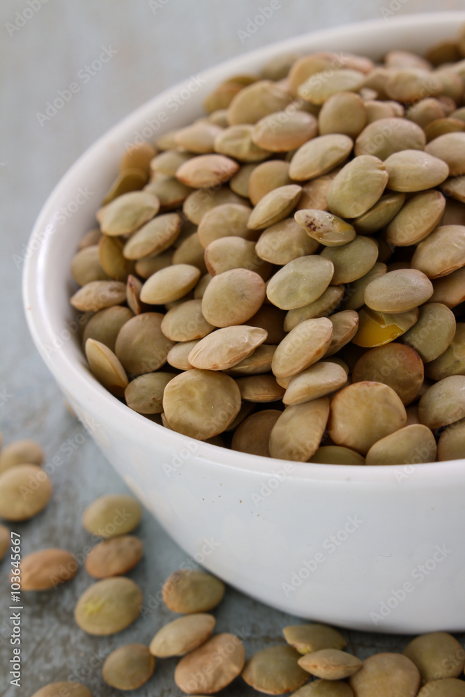 healthy green laird lentils healthy green laird lentils