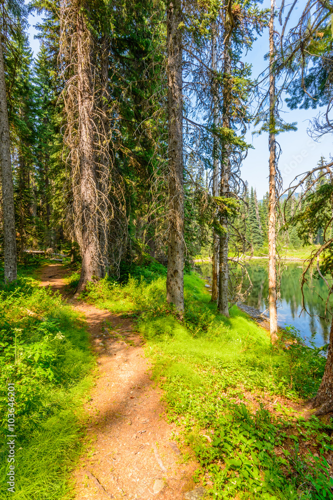 Majestic mountain lake in Canada. Lightning Lake in Manning Park in British Columbia. Lake Trail View.