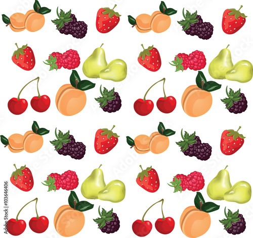 Summer fruits set. Vector