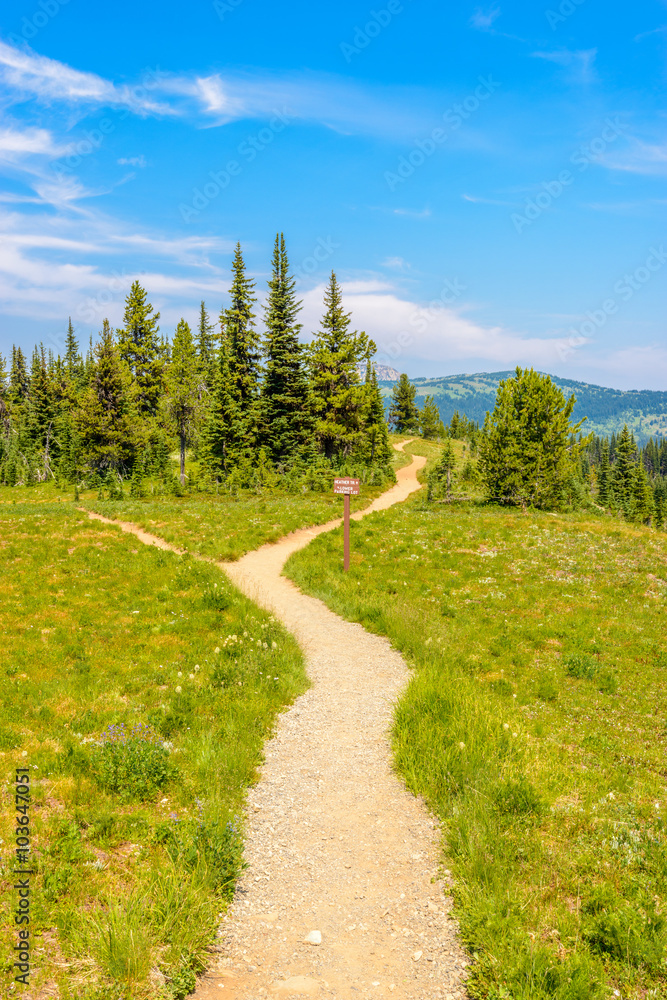 Beautiful Mountain Trail. Blackwall Peak Trail at Manning Park in British Columbia. Canada.