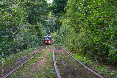 Tram goes through a tunnel in the forest. Kiev, Ukraine