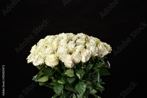 Romantic bouquet of lush 51 white roses on a black studio background, spring is coming, the International Women's Day, 8 March. photo