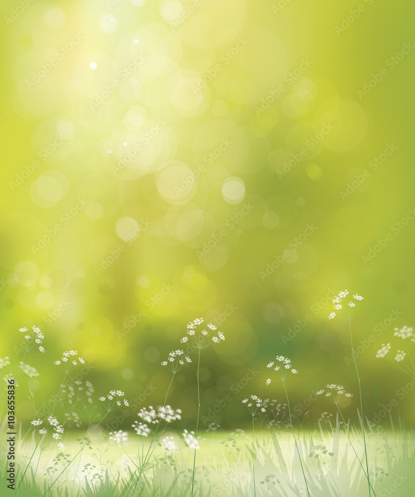 Obraz premium Vector floral, nature background.
