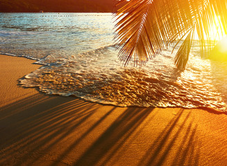 Beautiful sunset at Seychelles beach with palm tree shadow