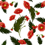Pattern red poppies