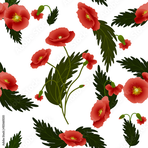 Pattern red poppies