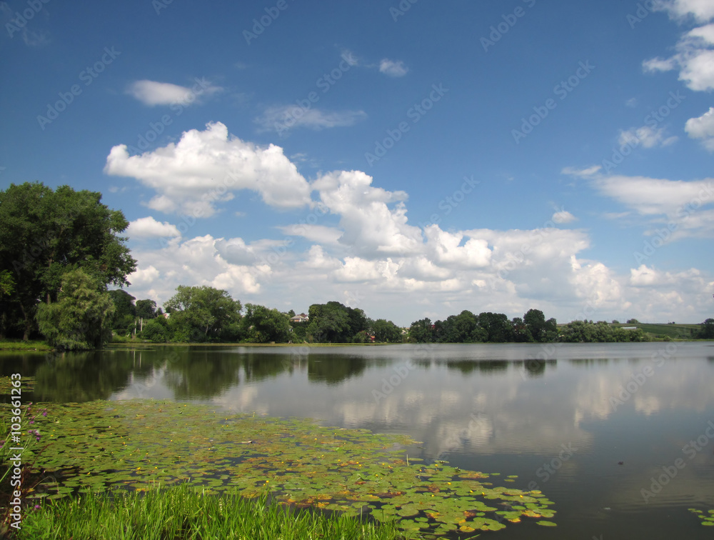Obraz premium Pond in Zbarazh