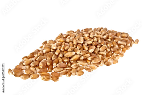 Grain of the wheat on a white background