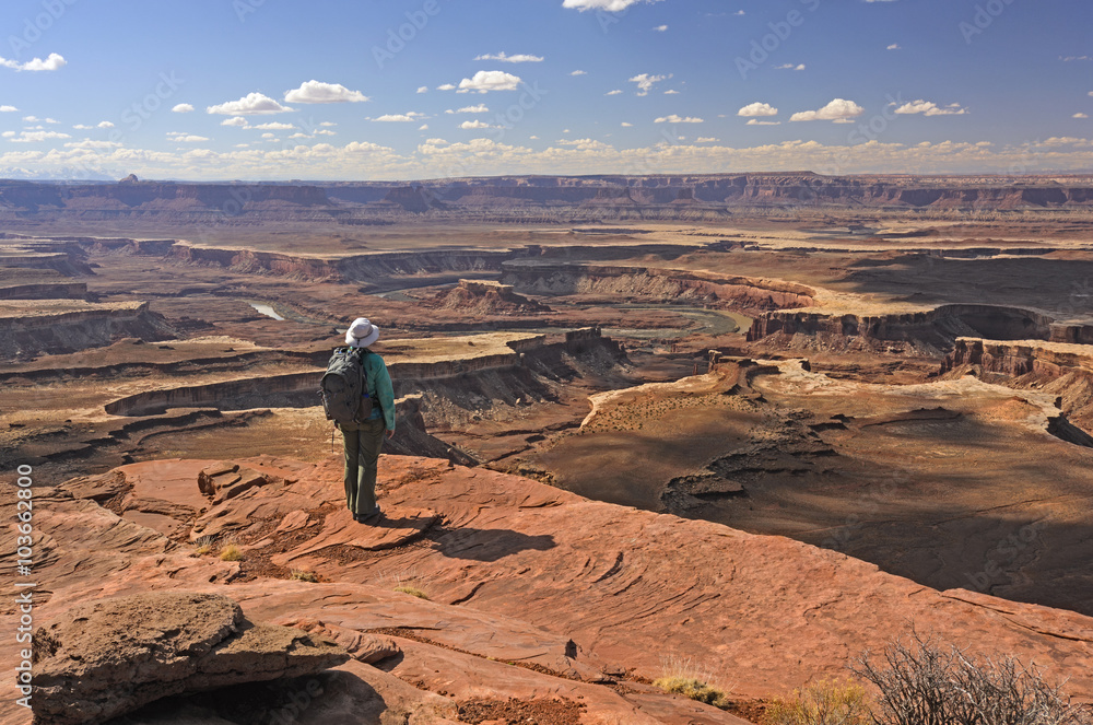 Fototapeta premium Looking Out Over the Canyonlands