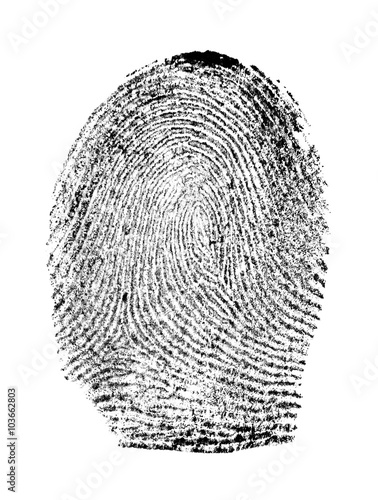 Fingerprint on white background