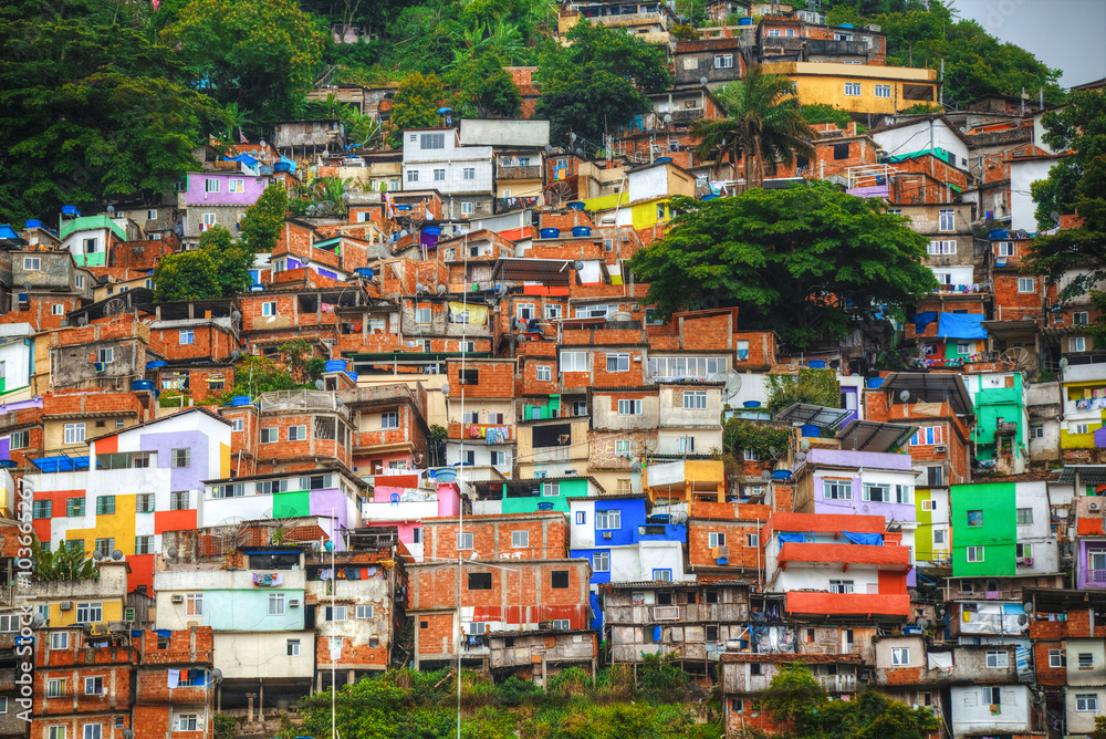  Favela