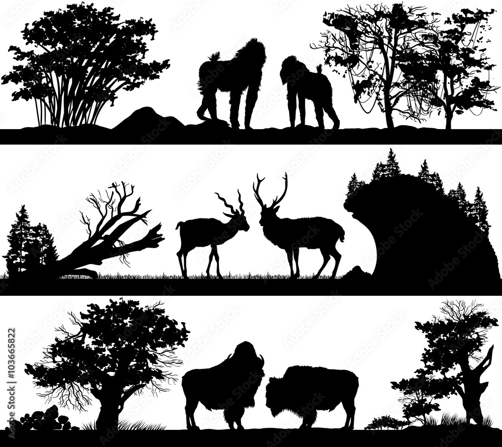 wild animals (monkey, deer, musk ox) in different habitats Stock Vector |  Adobe Stock