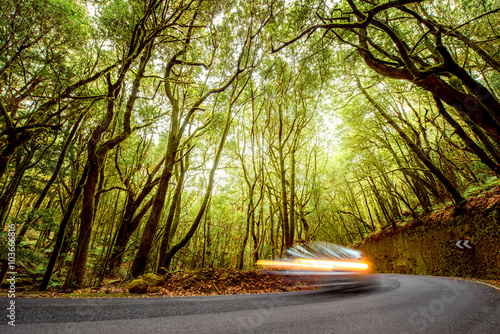 Asphalt road in evergreen forest with blurred car in Garajonay national park on La Gomera island.  photo