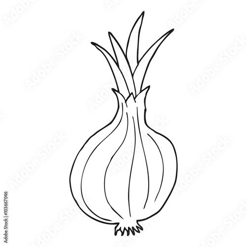black and white cartoon onion