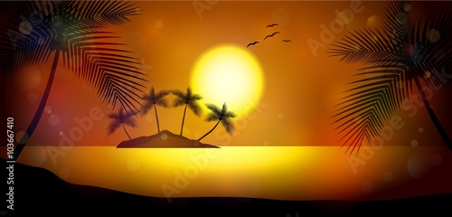 Summer night. Palm trees on the background of sunset