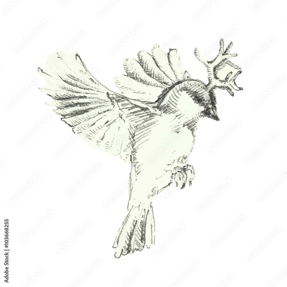 Fototapeta premium Bird with corns