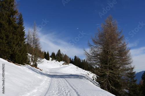 Wintersport, Schipiste, Schigebiet, Piste, Berg, Zettersfeld, Lienz, Lift photo