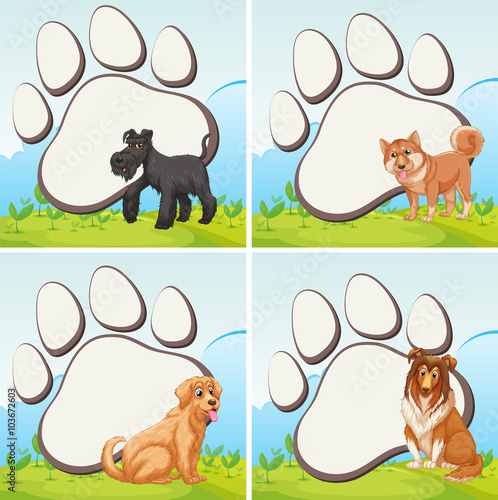 Frame design with domestic dogs
